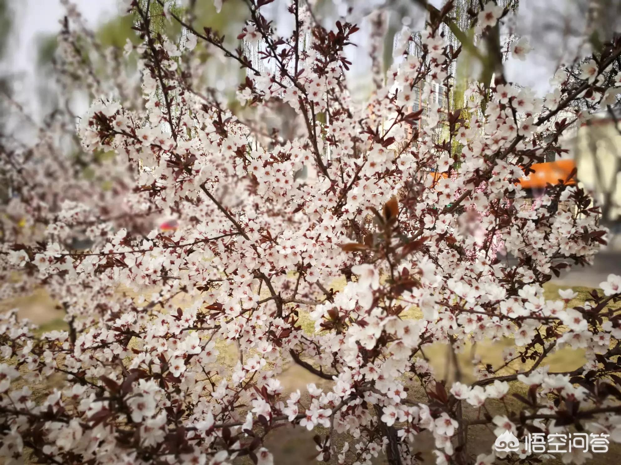 今日特码科普！91久久电影网,百科词条爱好_2024最快更新