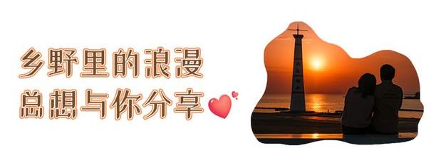 今日特码科普！49图库澳彩开奖记录,百科词条爱好_2024最快更新